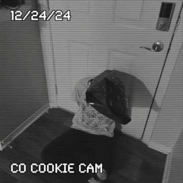 CO COOKIE CAM frame: square, a hooded figure against a white door, small date and label