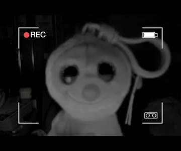 Cookie in close-up on the 2024 tape, night vision, a loop at the top of its head